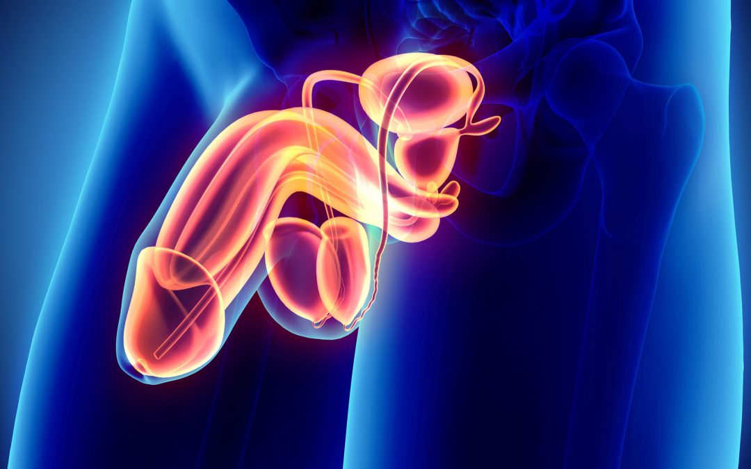 Disfunción eréctil y hiperplasia benigna de la próstata.