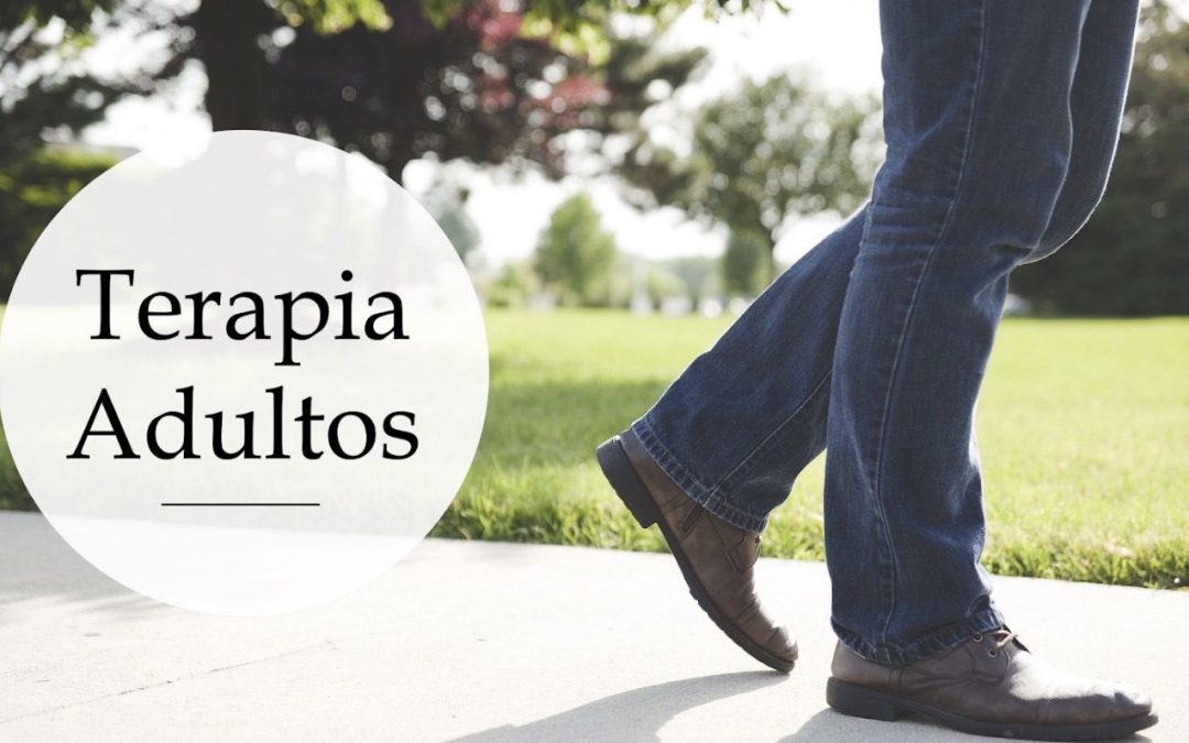 Psicoterapia de adultos
