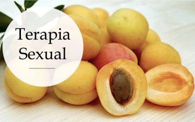 Blog 14 Terapia sexual Online