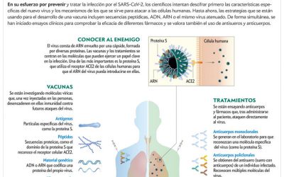 Blog 17 Tratamiento de la Depresión Online
